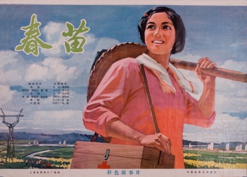 怎么购买台湾国立政治大学学位证